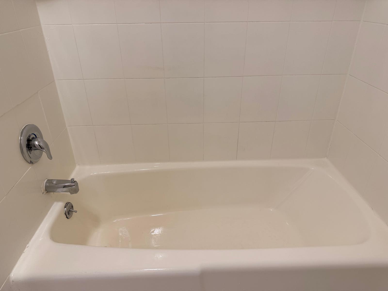 Bathroom and bathtub cleaning