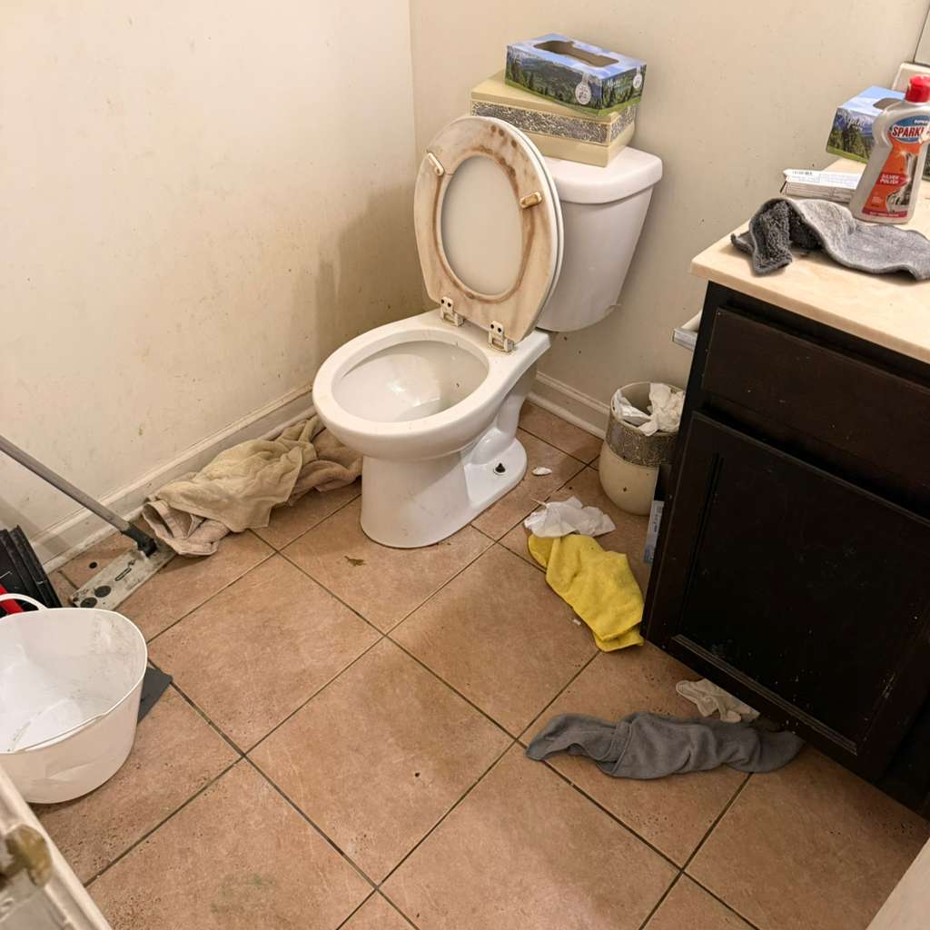 Bathroom cleaning transformation